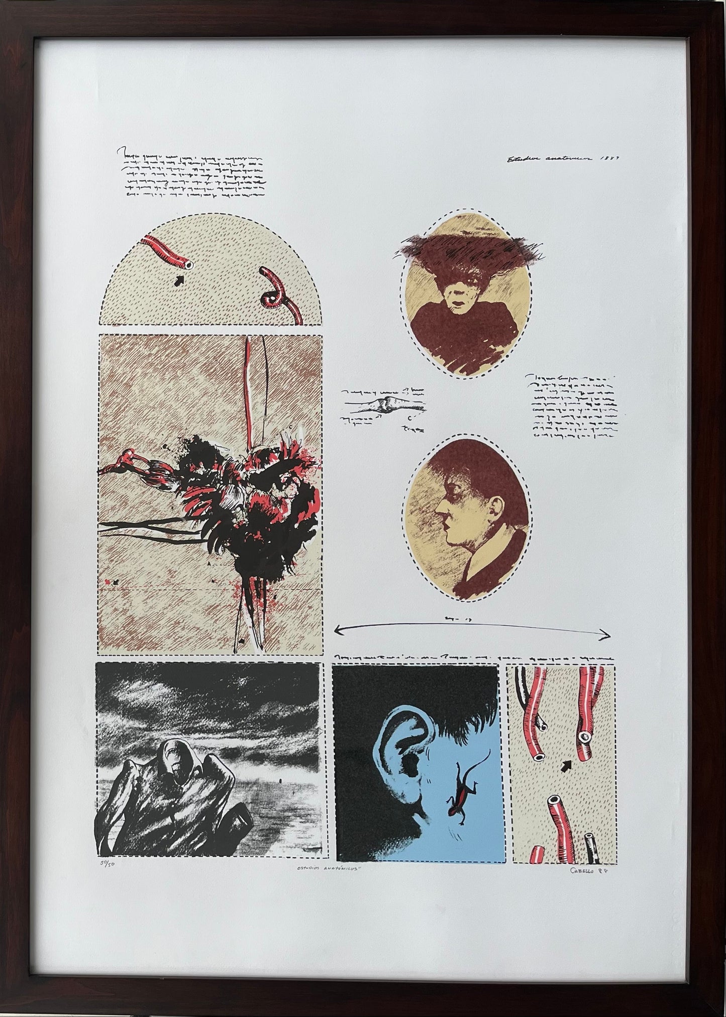 Javier Campos Cabello "Estudios anatómicos", 1988