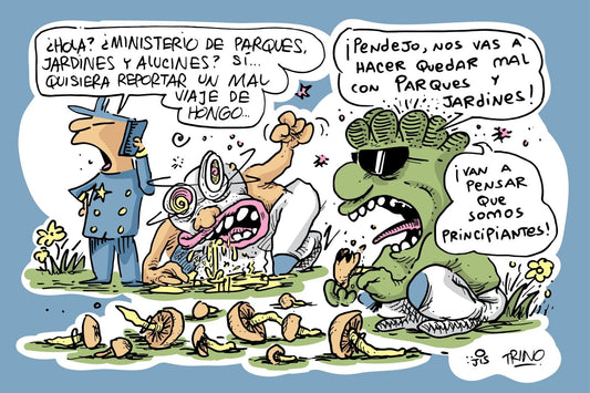 Jis y Trino “Santos y Peyote, principiantes”, 2024